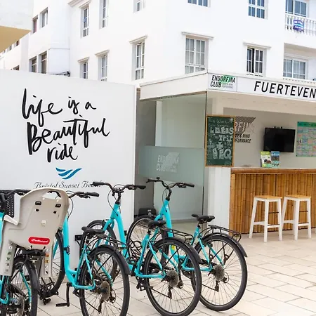 Casa Flor 아파트 *